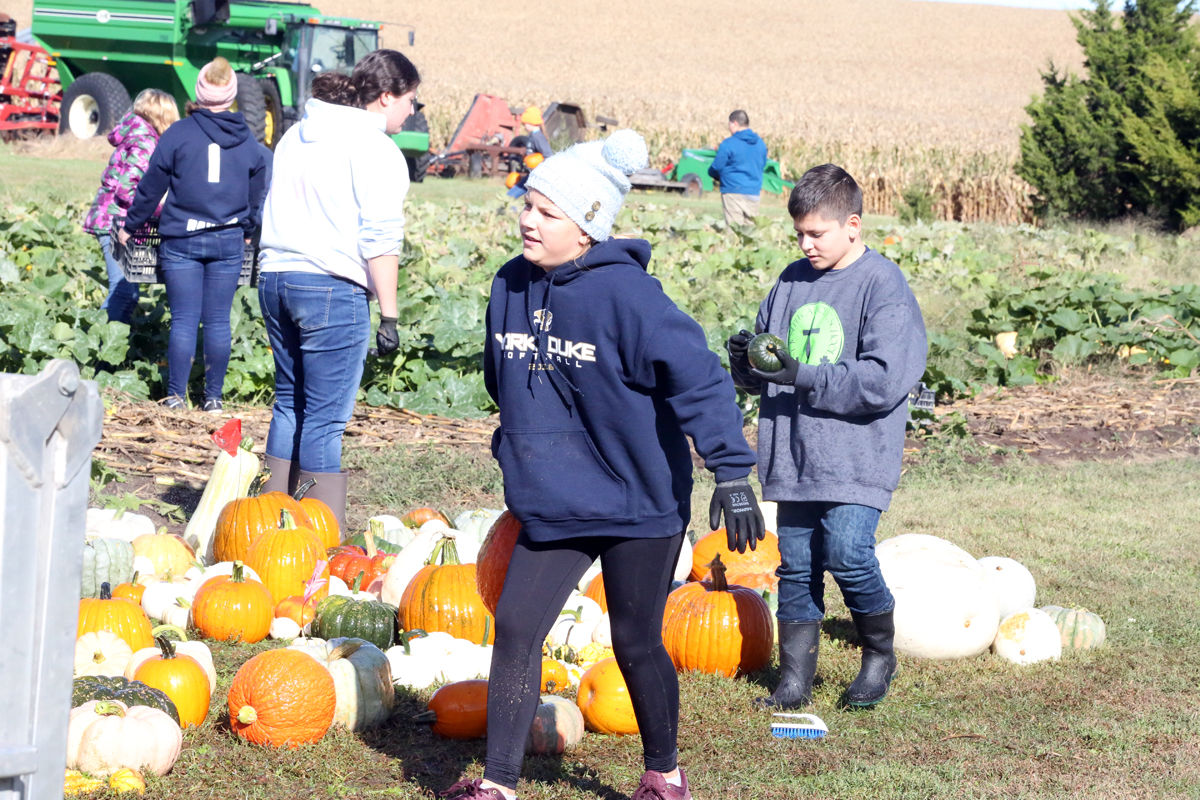 St Joseph Pumpkin Patch (18).jpg